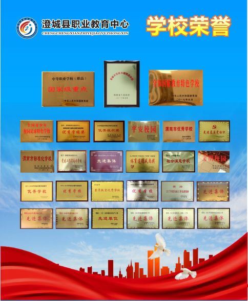 学校荣誉(1).jpg